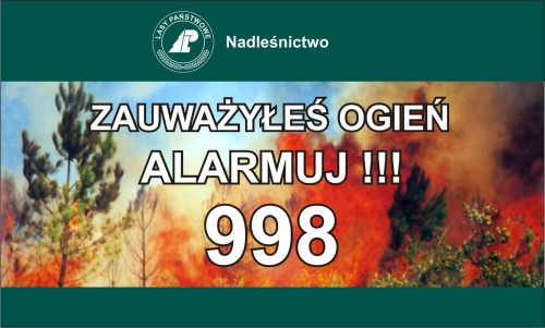 ogien_alarmuj.jpg