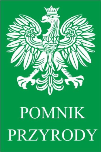 pomnik.jpg