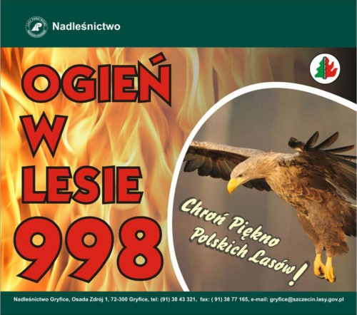 ogień w lesie.jpg