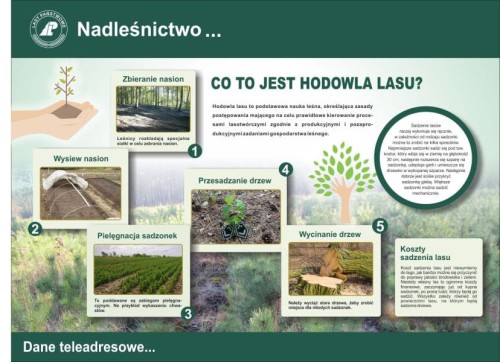 co to jest.jpg