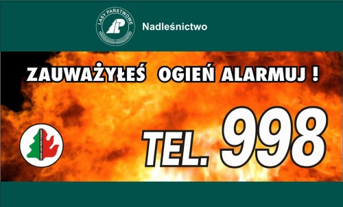 zauwarzyles.jpg