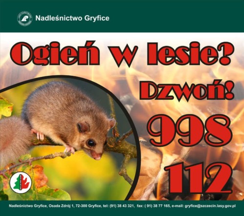 ogień.jpg