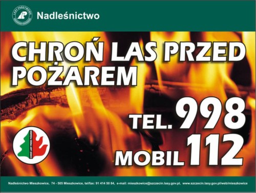 chron las przed pozarem.jpg
